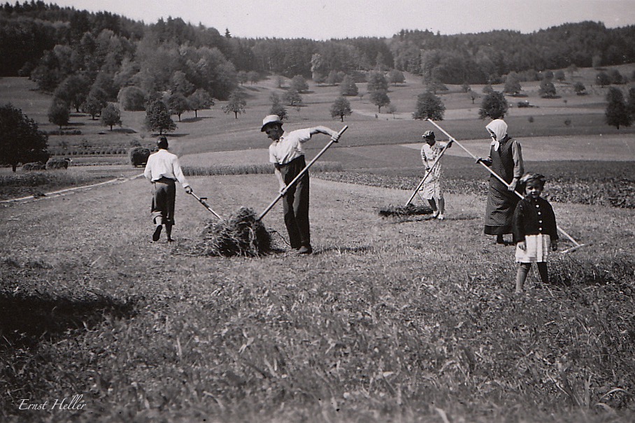 Heuet in Wil 1942