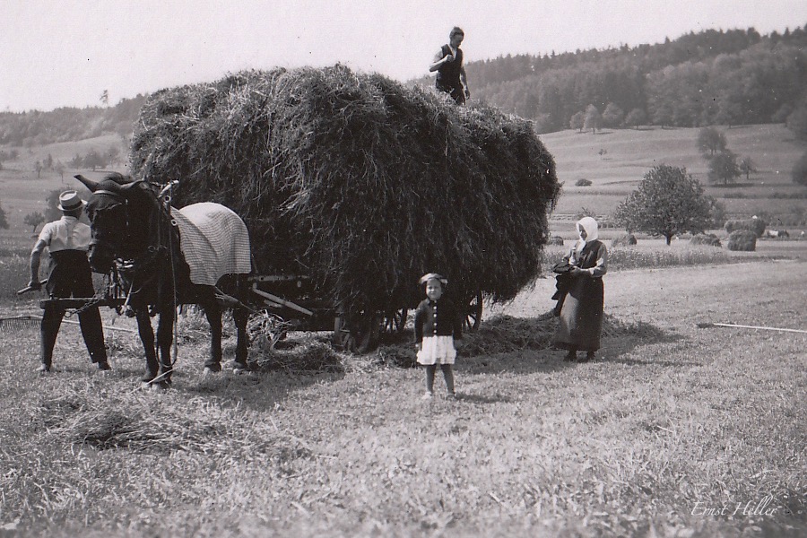 Heuet in Wil 1942